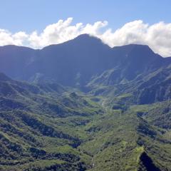 au cœur de l'île au cœur de l'île