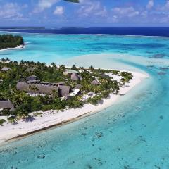 The Brando The Brando